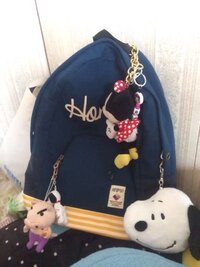 高校生です 通学用に使ってるリュックと定期入れ リュックにつけて伸びるタ Yahoo 知恵袋