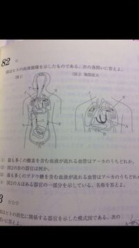 酸素の多い血管二酸化炭素の多い血管 酸素の多い血管二酸化炭素の Yahoo 知恵袋