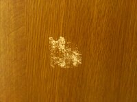 黒い服にほこりがつきます ジャケットでもパーカでもシャツでも 黒い服が Yahoo 知恵袋