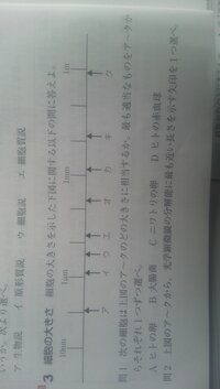 生物基礎の 細胞の大きさ の範囲でわからない事があります 問一と問二の問 Yahoo 知恵袋