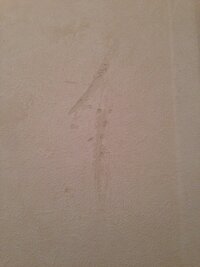 引越し時の壁傷について 引越しをすることになりましたが 脱衣所に写真のような壁傷 教えて 住まいの先生 Yahoo 不動産