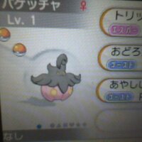 ポケモンxyでおまもりこばんはどこで入手できますか Http Yahoo 知恵袋