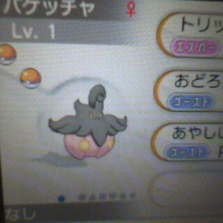 ベスト ポケモン Xy 裏 設定 最高のイラストの500以上の画像