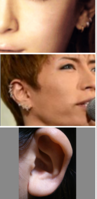 Gacktさんのピアスの数について Gacktさんは ピアスをい Yahoo 知恵袋