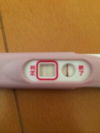 生理中の妊娠検査薬 妊娠検査薬