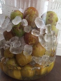 Not Nothing No Withoutの使い分け それ Yahoo 知恵袋