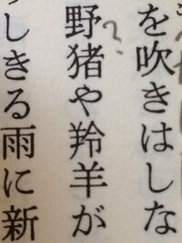 鋋この漢字の読みかたと意味が分かりません教えてください 鋋 Yahoo 知恵袋