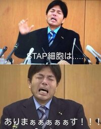 野々村竜太郎議員の号泣会見は とりまとめるとこの内容だったのでしょうか Yahoo 知恵袋