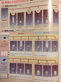 生物基礎のカタラーゼと二酸化マンガンについてです酸素発生を確認するために Yahoo 知恵袋