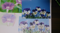 写真を見て色鉛筆画の練習で花を描いているのですがパッとしません Yahoo 知恵袋