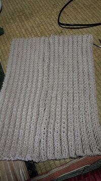 二目ゴム編み

愛犬のために冬のブランケット的なものを
編んでいるのですが初めて二目ゴム編みを
編んでいるのでいまいちあっているのか
わかりません。
評価してください 