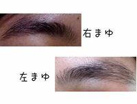眉の整え方を教えてください 高１の女です 画像の通りボサ眉なの Yahoo 知恵袋