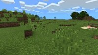 マイクラpeのスーパーフラットのワールドを生成するとき バイオームを Yahoo 知恵袋