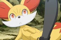 ポケモンxy御三家進化系 画像 どう思いますか ハリマ Yahoo 知恵袋