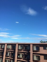 先日撮ったのですがこれはUFOでしょうか？

レンズ等に汚れもありませんでした。 