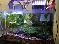 お盆で留守中の水槽水位今度のお盆で6日間実家に帰るので 家を留守にします Yahoo 知恵袋