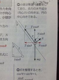 円錐面上での円運動の問題なんですが 小球の半径方向の運動方程式を示す Yahoo 知恵袋