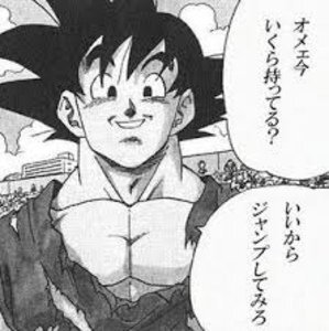 ドラゴンボールについて質問ですドラゴンボールにはキャラ毎に名前 Yahoo 知恵袋