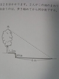 至急教えてください 小学校6年生の縮図の問題です これの Yahoo 知恵袋