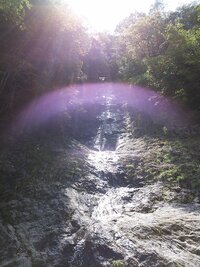 今日撮りました これは竜神でしょうか カメラの誤差でしょうか 年末年始 Yahoo 知恵袋