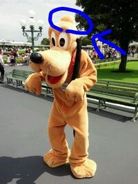 ディズニーキャラクターのプルートの頭の上にこぶのような物がついています Yahoo 知恵袋