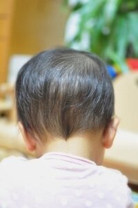 上の子の襟足が真ん中に集まり尖っていたら 次の子は男の子 まっすぐ Yahoo 知恵袋