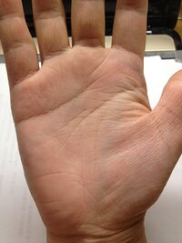 手相についてです 月丘に横線があり 運命線 見えにくいですが中 Yahoo 知恵袋