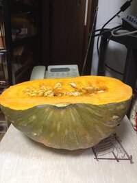 カボチャをまるごともらったので切ってみたら 色がすごく薄い黄色でし Yahoo 知恵袋