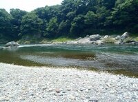 ここ10年くらいでスモールマウスバスの生息域が拡大してると思いますが 主な要因 Yahoo 知恵袋