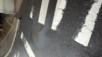 雨の日にたまに見られるんですが 道路に虹色みたいな模様が出来てるのを見 Yahoo 知恵袋
