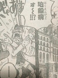 Onepieceのネタバレ含む バルトロメオの真実 その実 彼はルフィの Yahoo 知恵袋