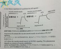薬理学についての質問です 私はいままで アセチルコリンに対して パパ Yahoo 知恵袋