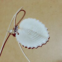 貝殻に穴を開けたいのですが 割れてしまって上手くできません Yahoo 知恵袋