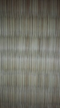 畳の上の茶色いゴミみたいなような物 これはなんですか 虫ではなさそうです 教えて 住まいの先生 Yahoo 不動産