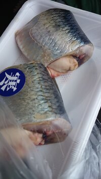 魚のニシンの内臓って 食べても大丈夫ですか たらこを白くした様な部分で Yahoo 知恵袋