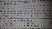 泥岩 砂岩 れき岩の３つの岩石は何を基準にして区別するのですか 中の粒 Yahoo 知恵袋