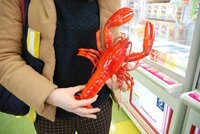 この400gのロブスターのフィギュアを大阪から京都に送ろうと思 Yahoo 知恵袋