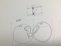 ベン図の書き方 全体集合を自然数としたとき奇数と偶数は排反 Yahoo 知恵袋