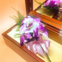 胡蝶蘭の押し花の方法を教えてください 押し花を仕事にして Yahoo 知恵袋
