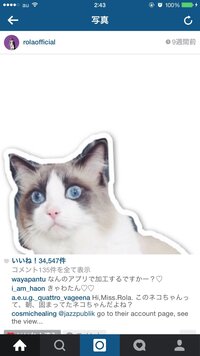 こういう加工 写真に沿って白い縁をつけてスタンプのようにはるアプリを 教 Yahoo 知恵袋