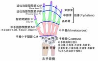 姑の全てが嫌いです 顔も見たくありません あんたは家族になったん Yahoo 知恵袋