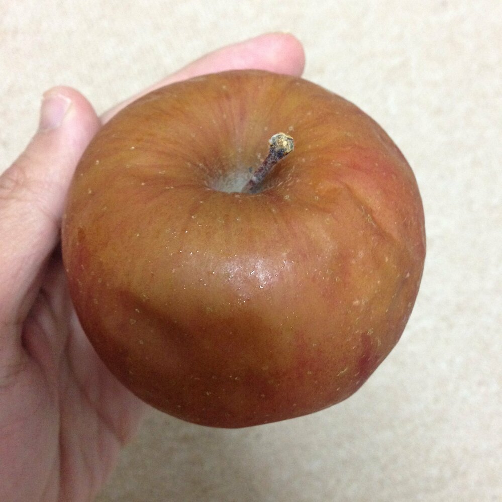 りんごを間違えて冷凍庫に入れてしまったので 食べようとした時カ Yahoo 知恵袋
