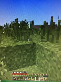 Minecraftのテクスチャのバグについて質問です Min Yahoo 知恵袋