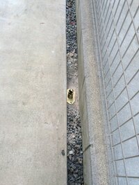 支柱の立て方について教えてください写真の隙間に2mの支柱をたてました 深さ15c 教えて 住まいの先生 Yahoo 不動産