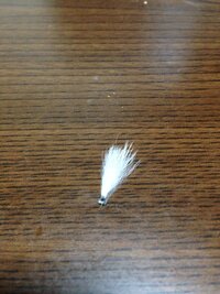 写真有り うさぎの毛の付け根に何かできています皮膚に硬いできもののよう Yahoo 知恵袋