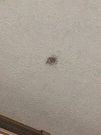 車の天井に茶色っぽいシミが多数着くのは何故ですか について教えてく Yahoo 知恵袋