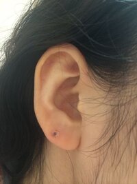 ピアスで空いてるとかわいい位置を教えてください 耳以外は開ける Yahoo 知恵袋