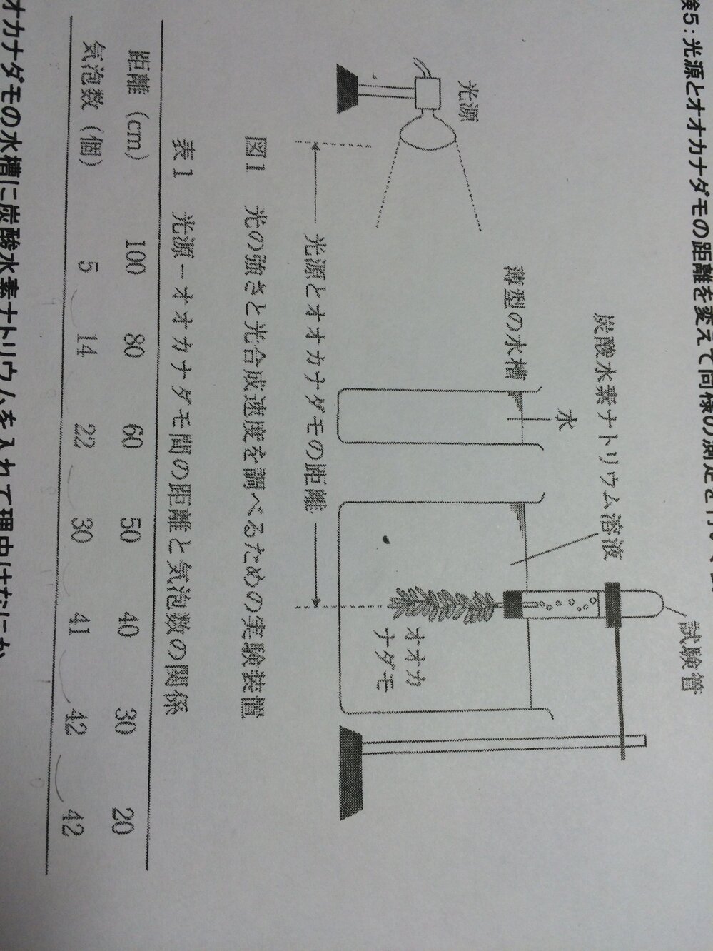 生物光合成速度と光の強さを調べるオオカナダモの実験問題についてです この Yahoo 知恵袋