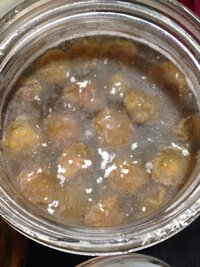 梅シロップの表面に透明のゼラチン質の膜が張りました カビでしょうか 梅１キロ Yahoo 知恵袋