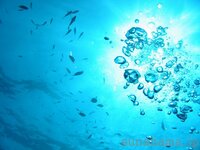 海に飛び込むシーンがあるアニメを教えて頂きたいです 学校祭の映像で使いた Yahoo 知恵袋